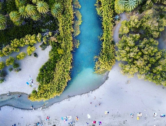 PALM FOREST PREVELI