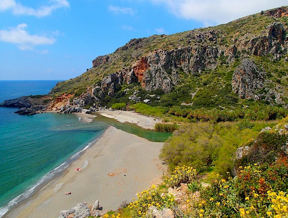 PALM FOREST PREVELI